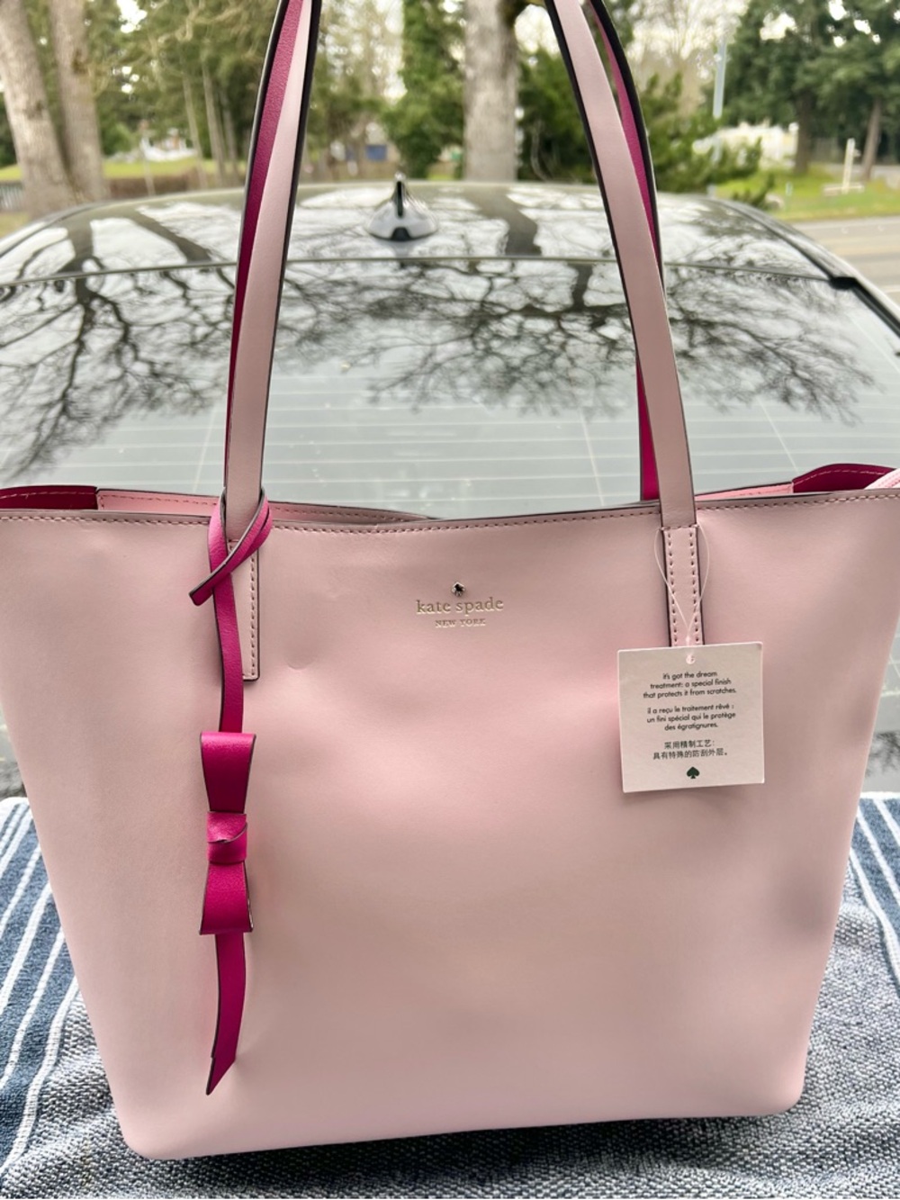 NWT KATE SPADE LAWTON WAY ROSE TOTE